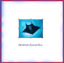 a picture of a stingray with the words animal favorito underneath