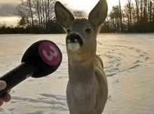 a person is holding a microphone with the number three on it