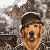 a dog wearing a military uniform and helmet