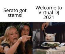 two women are pointing at a cat and the words welcome to virtual dj 2021 are on the bottom