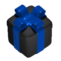 a black box with a blue bow on it