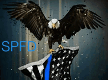 a bald eagle is sitting on top of an american flag with spfd written on it