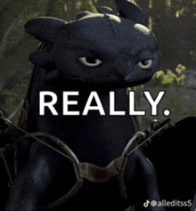 toothless from how to train your dragon is riding a horse and says really