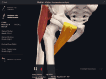 a screen shows a skeleton and muscles and says motion mode on the top