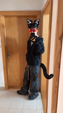 a person in a cat costume is taking a selfie in front of a door