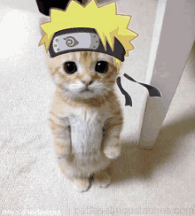 a cat wearing a naruto headband standing on its hind legs