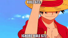 monkey d luffy is wearing a straw hat and pointing at the camera with the words rule 673 ignore rule 972 below him