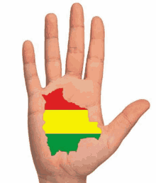 a close up of a hand with the flag of bolivia painted on it .