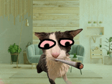 a cat wearing pink glasses is holding a joint in its mouth