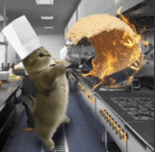 a cat wearing a chef 's hat is standing in a kitchen holding a piece of food on fire