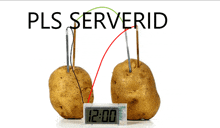 two potatoes with wires attached to them and the words pls serverid written above them