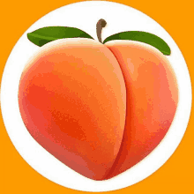 a peach with green leaves is in a white circle