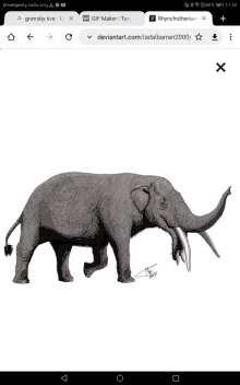 a drawing of an elephant is displayed on a cell phone screen