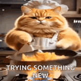 a cat wearing a chef 's hat and apron is cooking food on a stove .