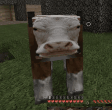 a cow in a video game with the number 8 on the bottom right