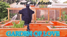 a man watering plants in a garden with the words garden of love on the bottom