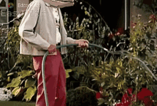 an elderly woman is watering plants with a green hose and the words " edited with " on the bottom right