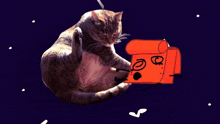 a cat is scratching itself next to a red object that says are you aware