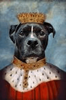 a dog is wearing a crown and a robe .