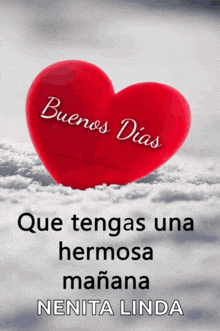 a red heart with the words buenos dias que tengas una hermosa mañana nenita linda on it