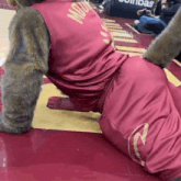 a mascot wearing a red jersey that says ' moscow ' on it