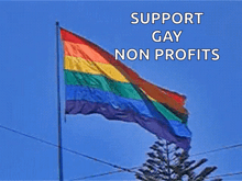 a rainbow flag is flying in the wind with the words support gay non profits below it