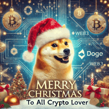 a picture of a dog wearing a santa hat with the words merry christmas to all crypto lover