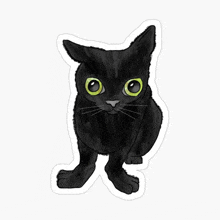 a sticker of a black cat with bright green eyes