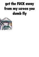 a picture of a cartoon character with the words get the fuck away from my screen you dumb fly .
