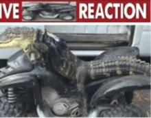 a picture of a motorcycle with the words " ive reaction " on the bottom