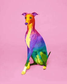 a dog that has been painted in rainbow colors