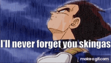 a picture of a man with the words i 'll never forget you skingas on it