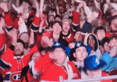a crowd of people wearing red jerseys with the letter e on the front