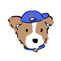 a brown and white dog wearing a blue baseball cap