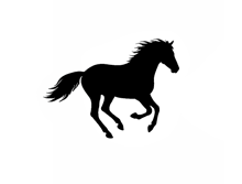a black horse is running on a white background