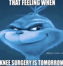 a picture of a grinch with the caption that feeling when knee surgery is tomorrow