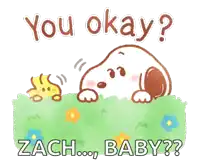 a cartoon of snoopy and woodstock laying in the grass with the words you okay zach baby