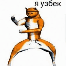 a cat is standing on its hind legs in a karate pose with a caption in russian .