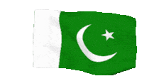 a green flag with a white star and crescent moon