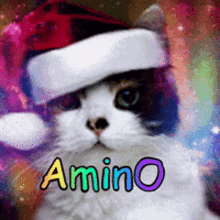 a black and white cat wearing a santa hat with the word amino on the bottom