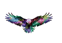 a colorful eagle is flying with its wings outstretched