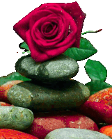 a stack of rocks with a red rose on top