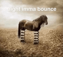 a horse standing on springs in a field with the words `` aight imma bounce '' .