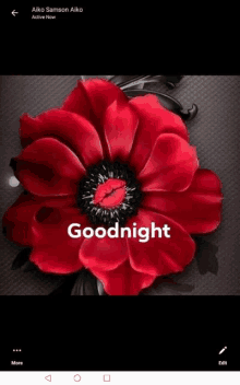 a red flower with a black center and the words `` goodnight '' written on it