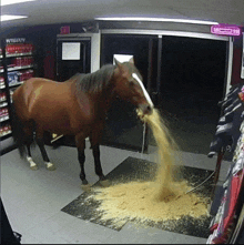 a horse standing in front of a store that has a sign that says exit