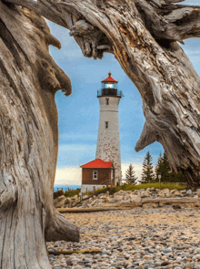 a lighthouse with a red roof is surrounded by driftwood on a rocky beach