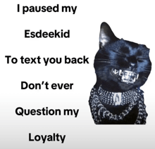 a black cat with a necklace around its neck says " i paused my esdeekid "