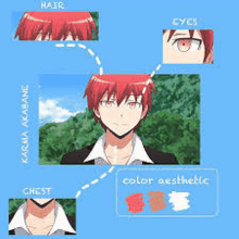 a picture of a person with red hair , eyes , and chest .