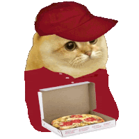 a cat wearing a red hat and holding a pizza box