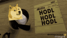 a picture of a doge next to a paper that says hodl